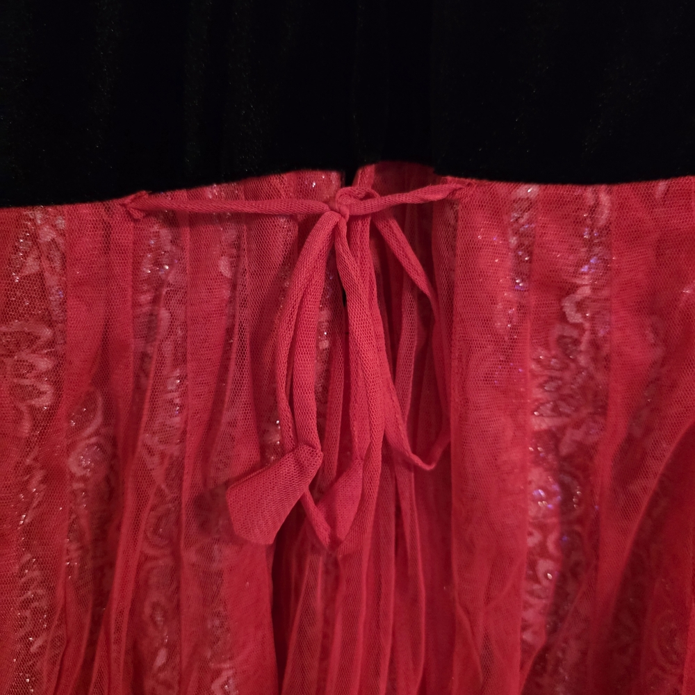Indian/Pakistani Elegant Red and Black Embellished Dress - Picture 5 of 7